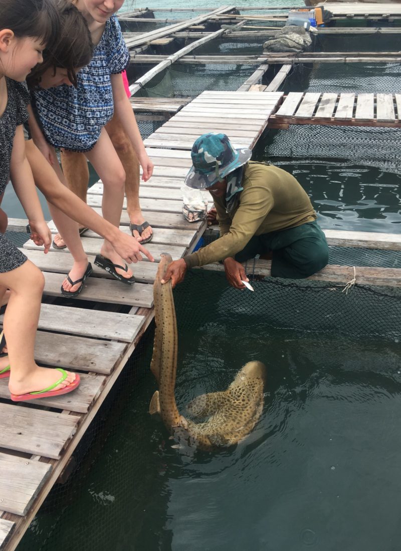 LOKAL FISKEFARM PÅ KOH YAO NOI