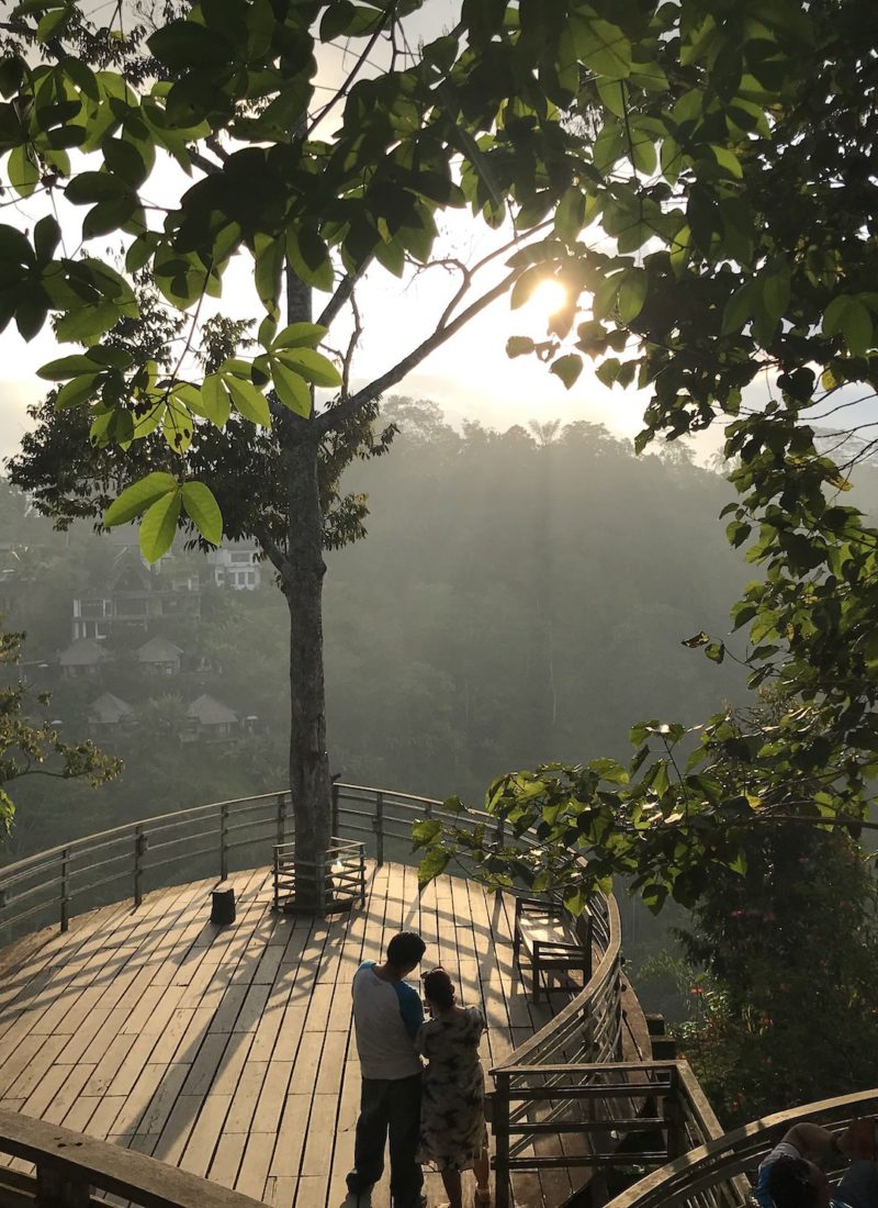 BALI PART 2: CANGGU TIL UBUD