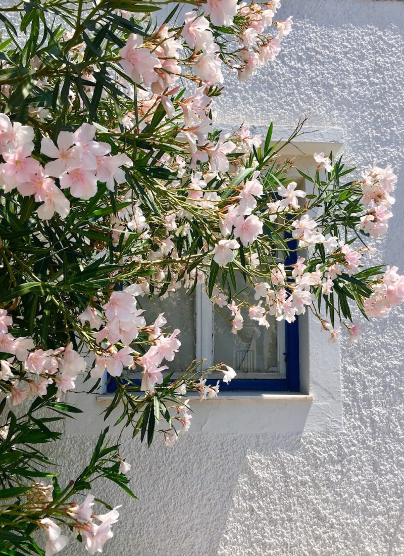 SYROS VOL.2 – TAKING BACK MY WORDS