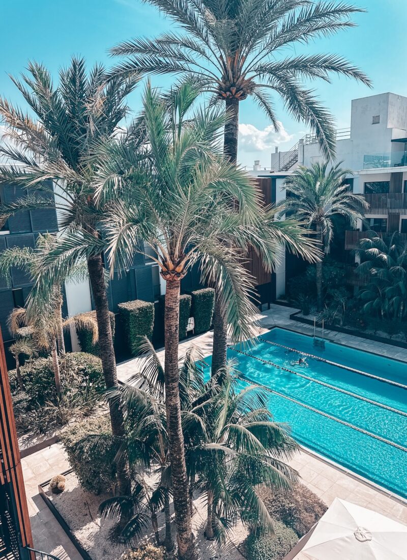 Mallorca – guide til Alcudia